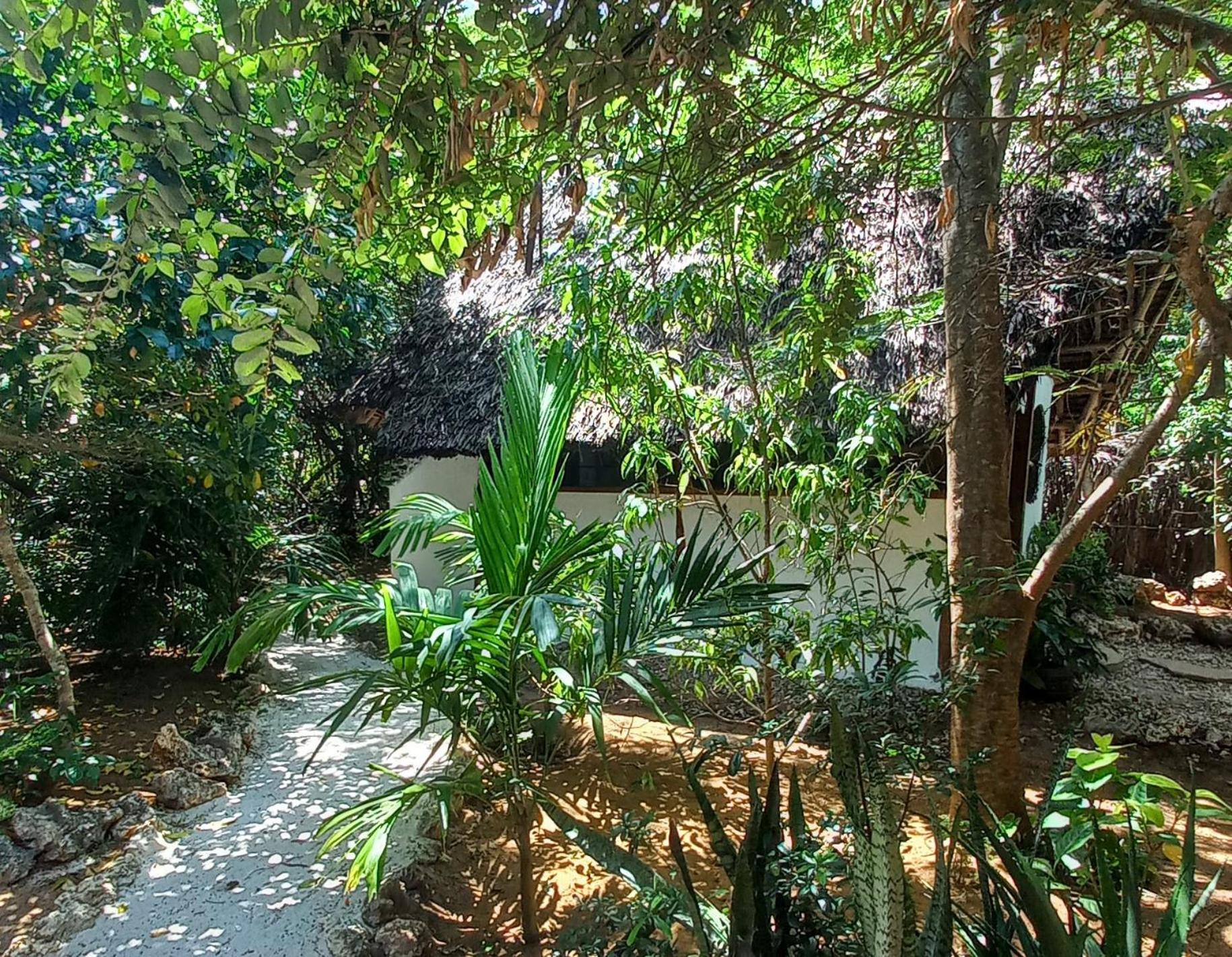 Watamu Beach Cottages B&B Номер фото
